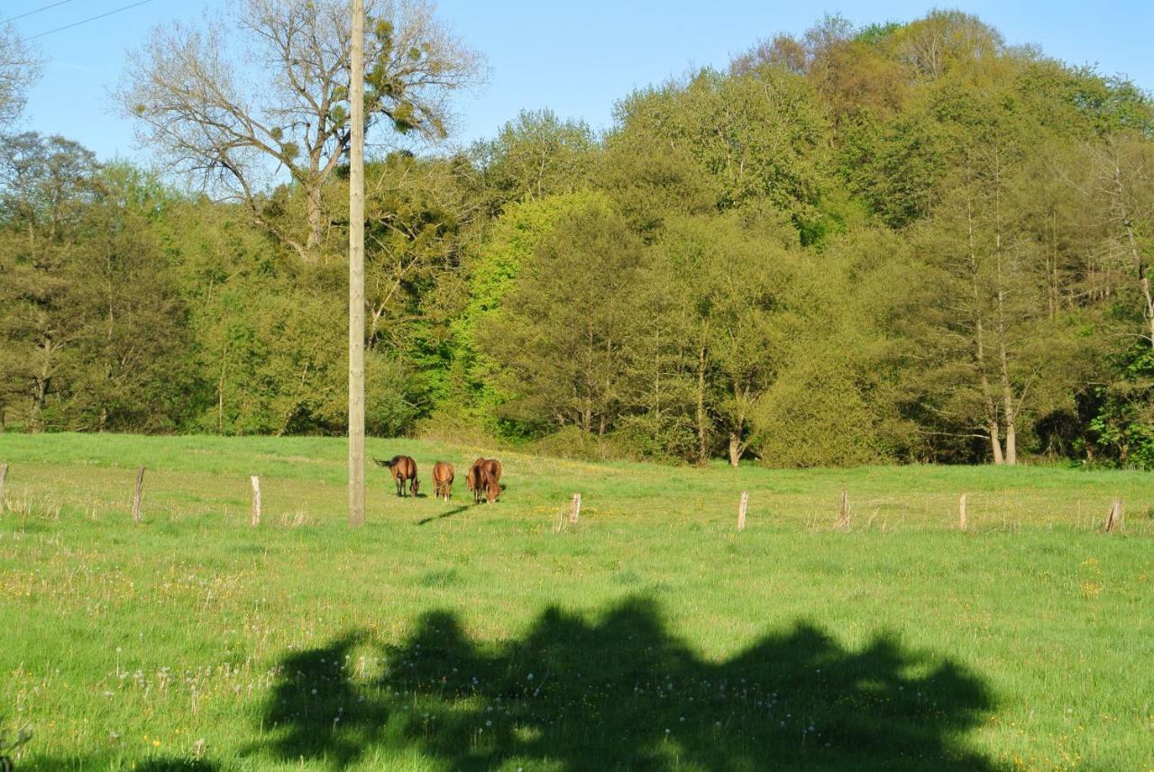Zur Mühle Apartment Sotzweiler