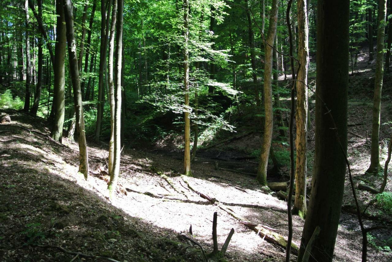 Zur Mühle