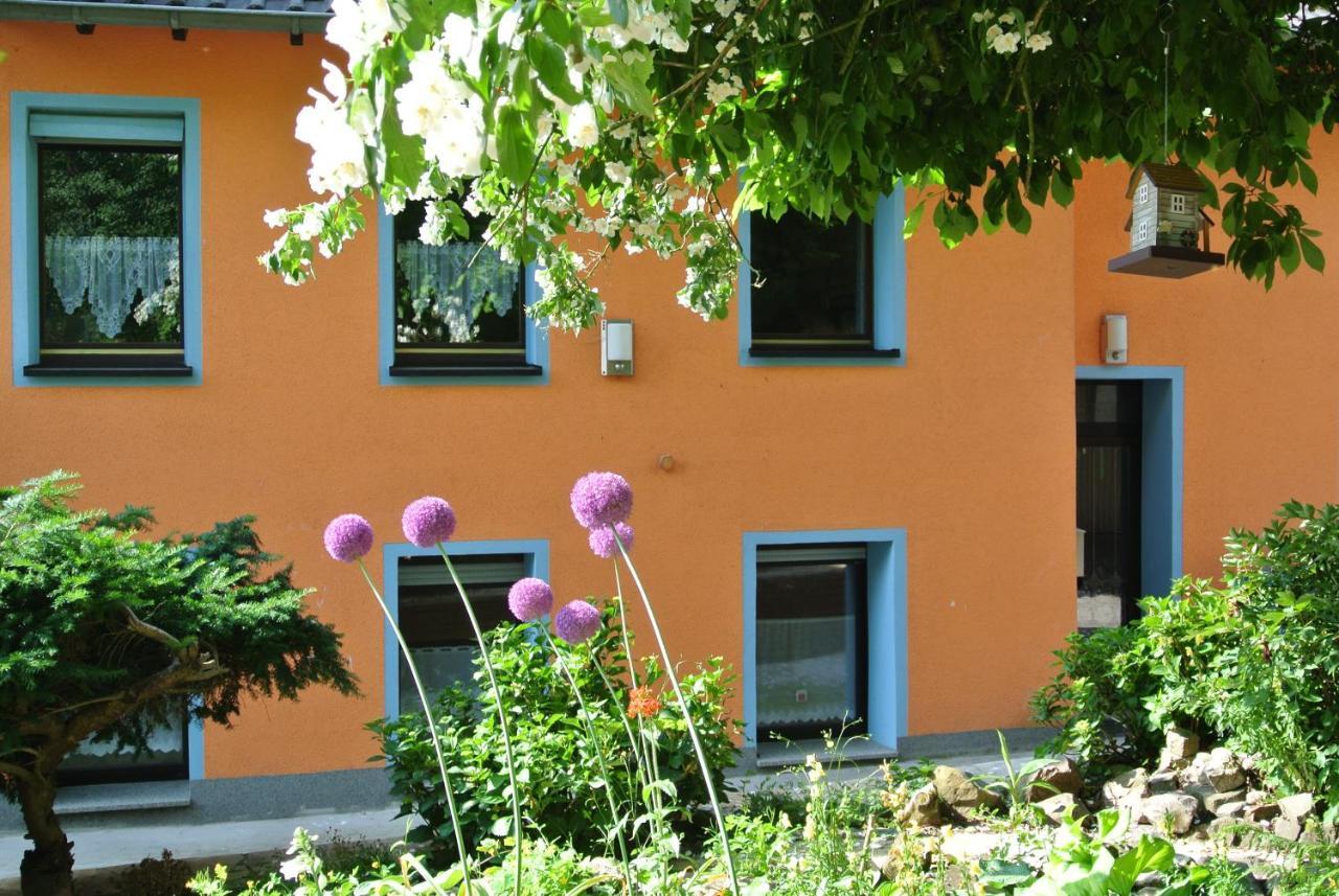 Apartment Zur Mühle Sotzweiler